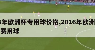 16年欧洲杯专用球价格,2016年欧洲杯比赛用球