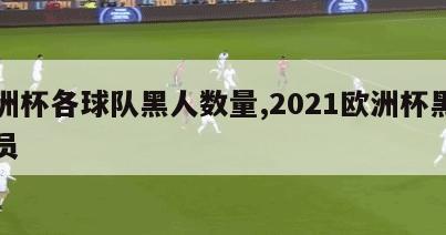 欧洲杯各球队黑人数量,2021欧洲杯黑人球员