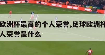 足球欧洲杯最高的个人荣誉,足球欧洲杯最高的个人荣誉是什么