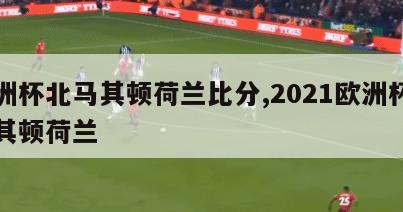 欧洲杯北马其顿荷兰比分,2021欧洲杯北马其顿荷兰