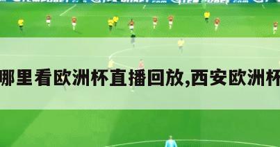 西安哪里看欧洲杯直播回放,西安欧洲杯看球