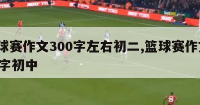 篮球赛作文300字左右初二,篮球赛作文500字初中